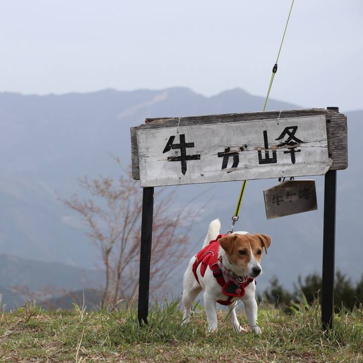 E523f45e 37da 4098 9dd6 03ae7cb005ec 1523075638194