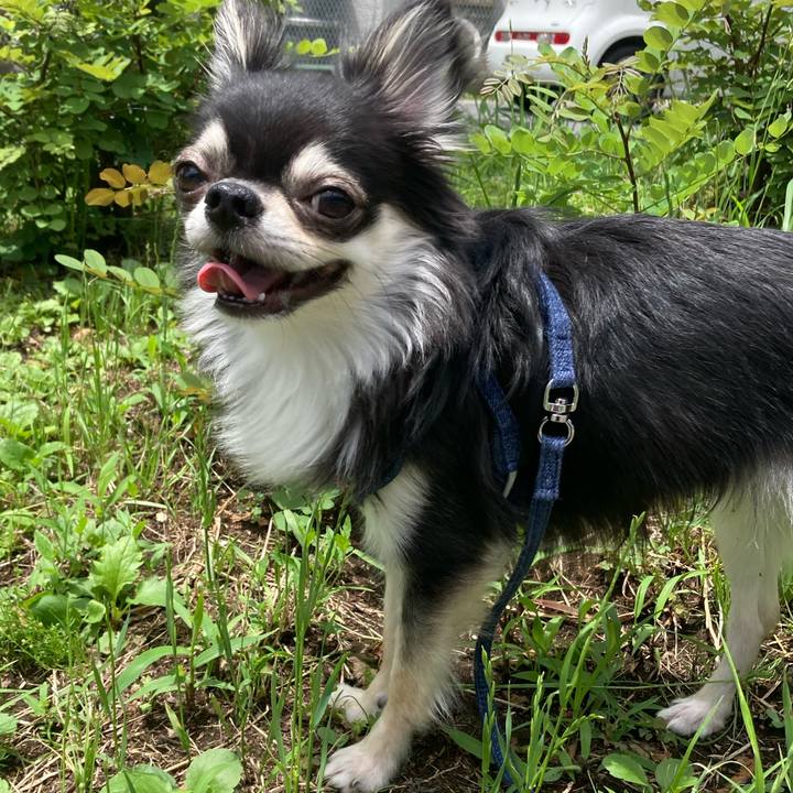 E5240727 8ce3 408b 8854 3136c9ce825c 1624164169942