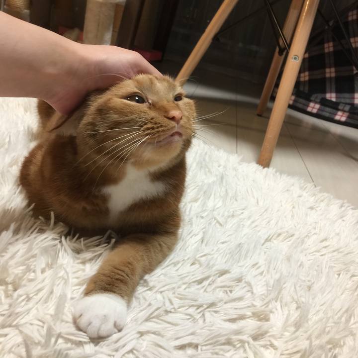 E524202d 26ec 4b7f b4ef 30b645a02b55 1567123536190