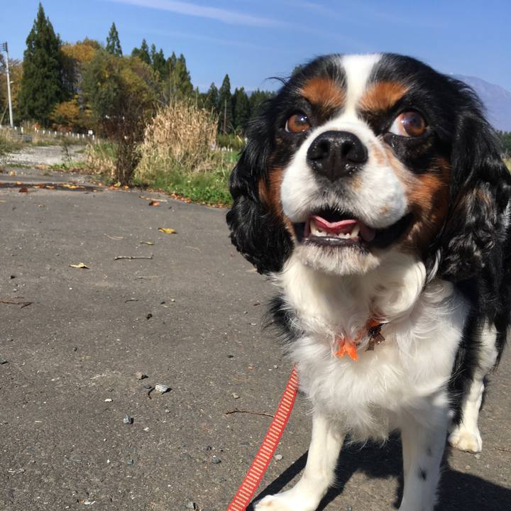 E524366d 7556 417e 998e e18b0718a0c0 1510125364937