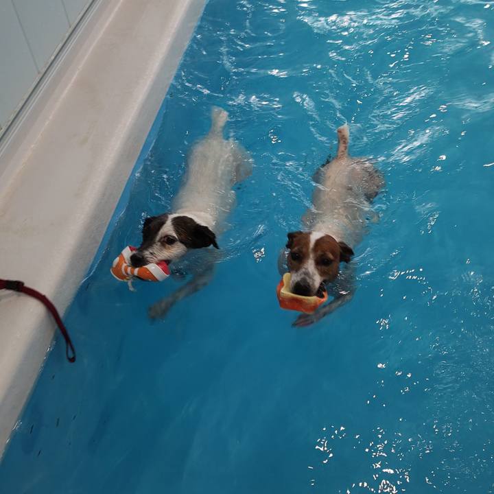 E524560f fe6f 4038 8236 4e260d0f203f 1725081737783