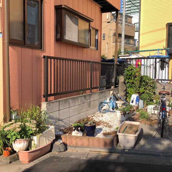 E5246485 c7b8 4c7f b391 6216f8e96ec5 1600704767886