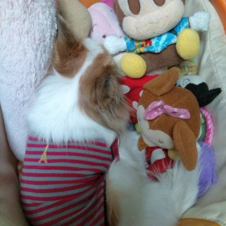 E5248216 864e 4de8 88d6 927d8c5ba376 1532963284462