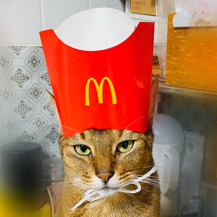 E5248670 ed54 446c a1cf 8849dd10571c 1761922172820