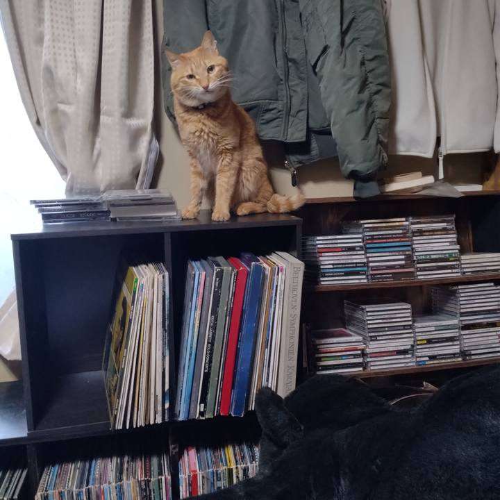 E524b64c 85d6 44d4 9c8f 4138376b25be 1679004247185