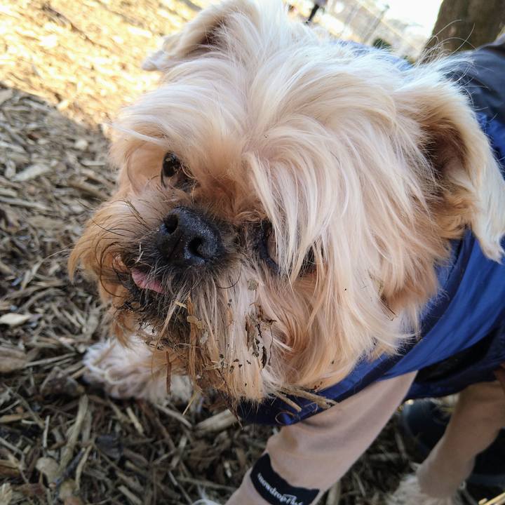 E52501f4 0b0e 4330 b1f7 b40e77b03799 1644739164768