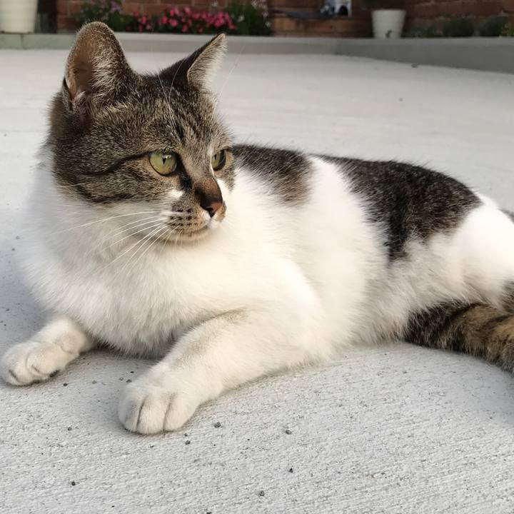 E5254bab e8ad 4866 a010 4947a1fd6146 1558012579741