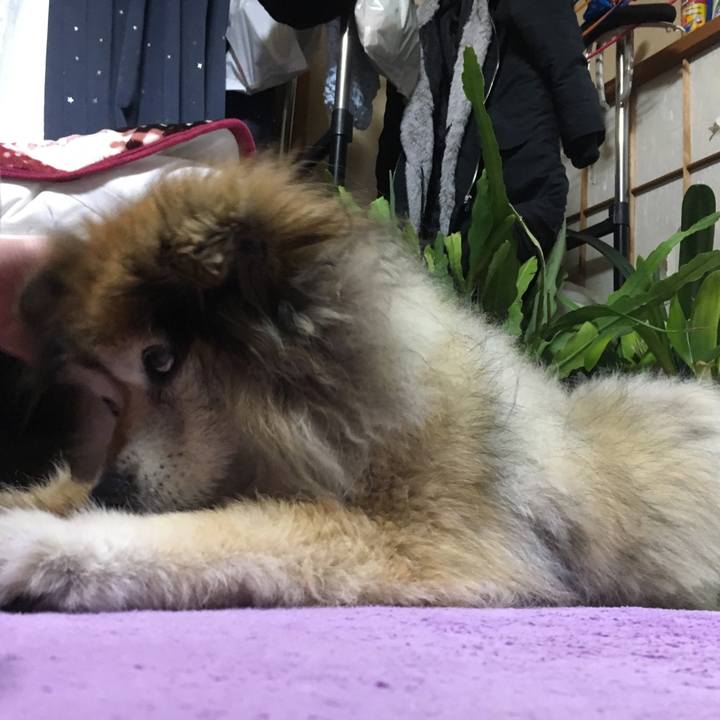 E5256b0d 32a5 4735 928f 15801fc55db6 1557817873507