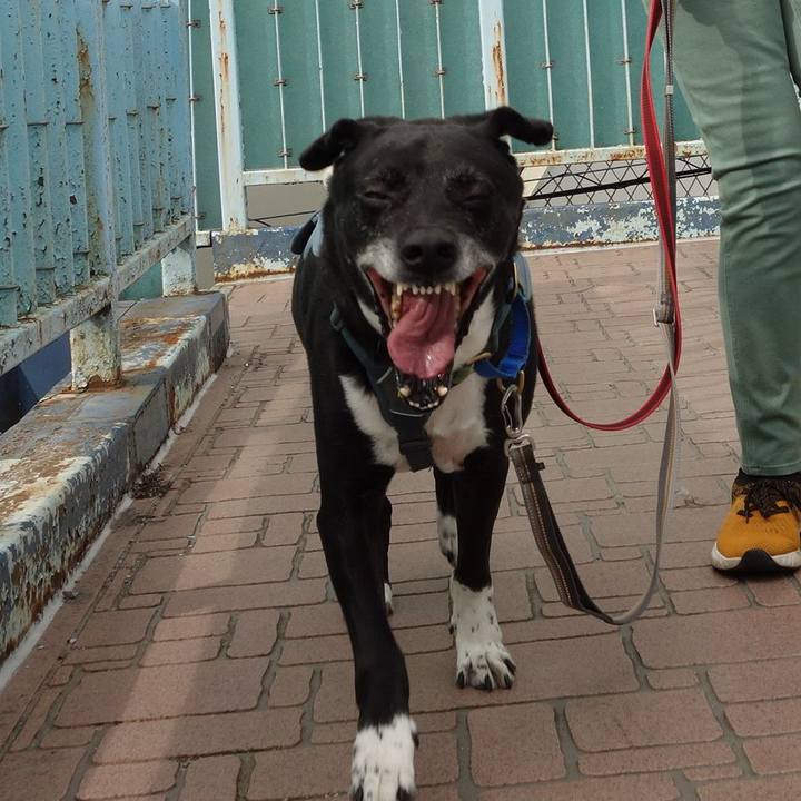 E52578c3 cc9c 4825 8b02 6c1273e875b6 1714956953086