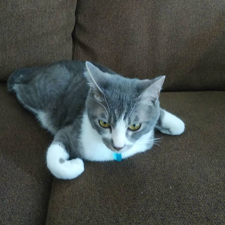 E5257a0c 588c 4aec 83cc a6058bffedbe 1590731618657