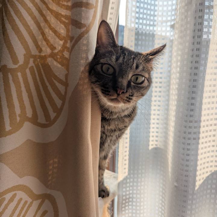 E525ffe0 f0bb 4a34 a6b7 70369d0c40d4 1744184929660