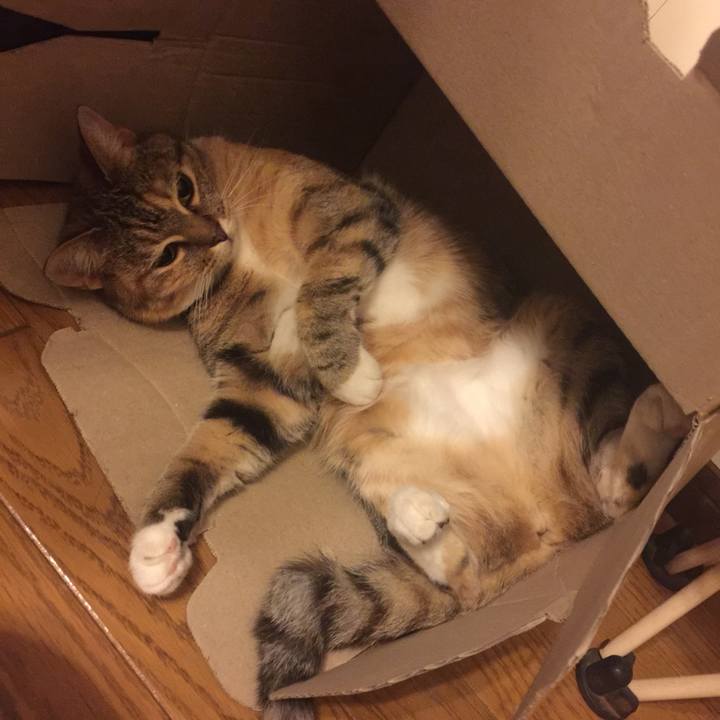 E52622b3 298c 4109 897c f5107bcd0697 1561984146526