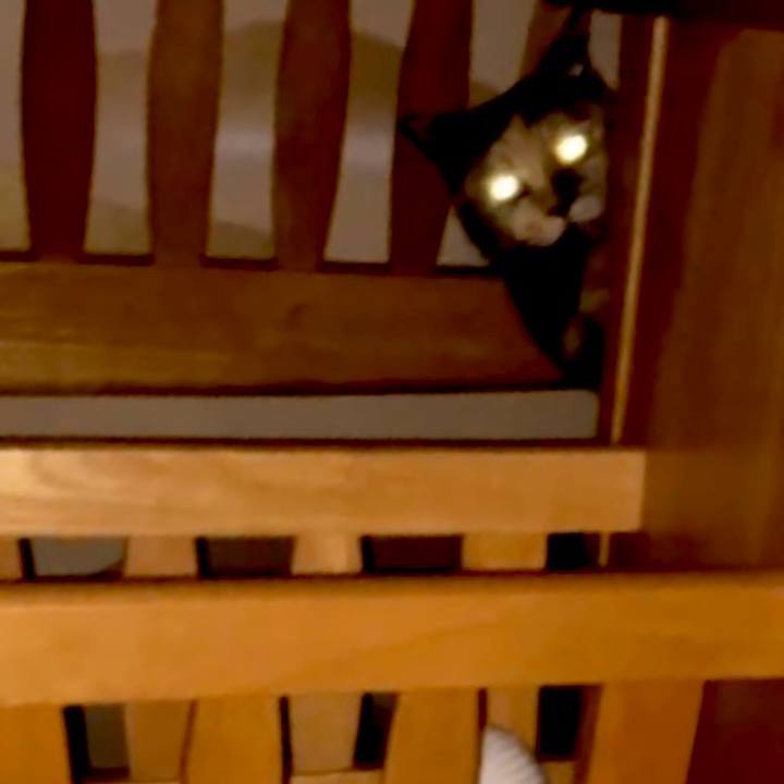 E5262443 e5c2 4ef8 805a ccddc23bdfa9 1728506328933