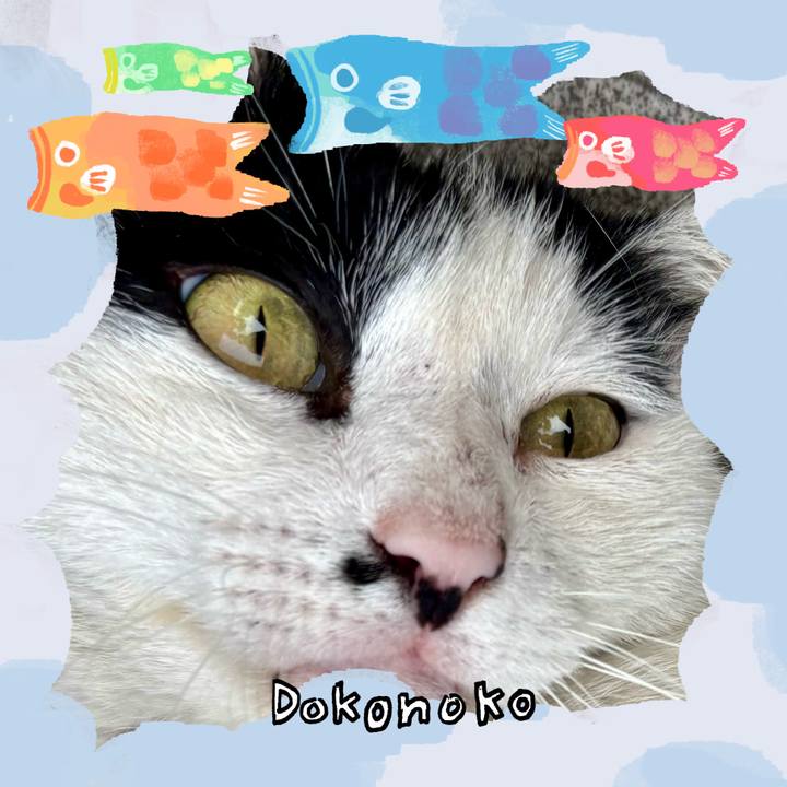 E5264c53 463b 4ed9 b668 7a9c81562476 1749101170858