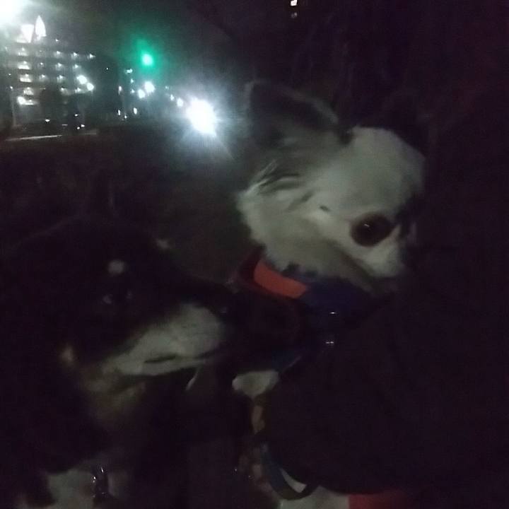 E5267a60 e830 42eb 8e51 6ad215ada0b8 1520169474728