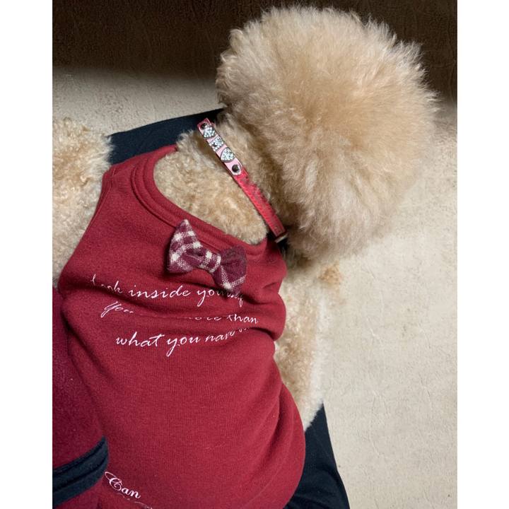 E526d52f bf2a 43aa 9640 e9652865f636 1582105400257