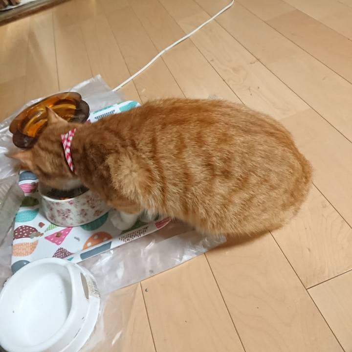 E5271bd5 9670 4319 9347 70d8efa8e08d 1597752147024