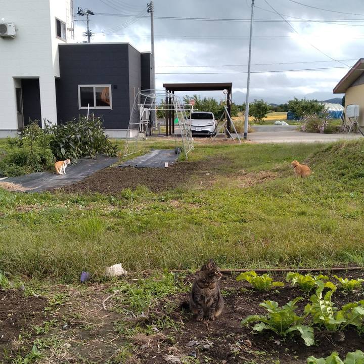 E5272ccc cfcd 4126 8ff9 d1c0b00f6dda 1759133215904