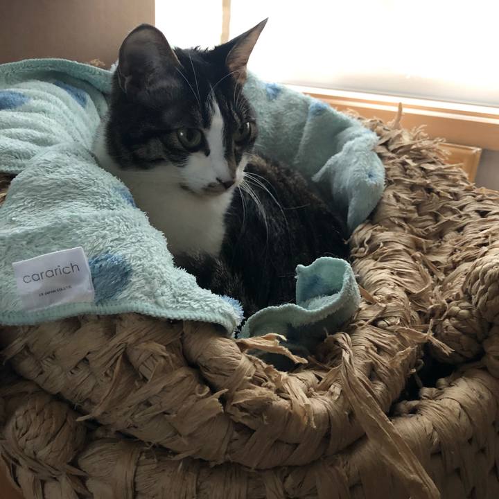 E52750f0 8c2b 40d2 8118 1bc5c1352402 1548299534322