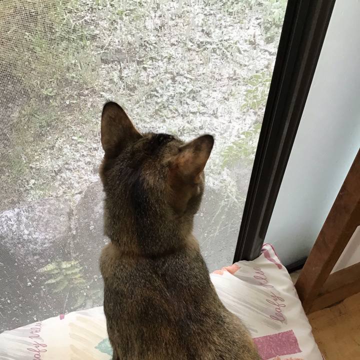 E5277b92 791f 4dce 83b1 28b893de3dcf 1585447636484