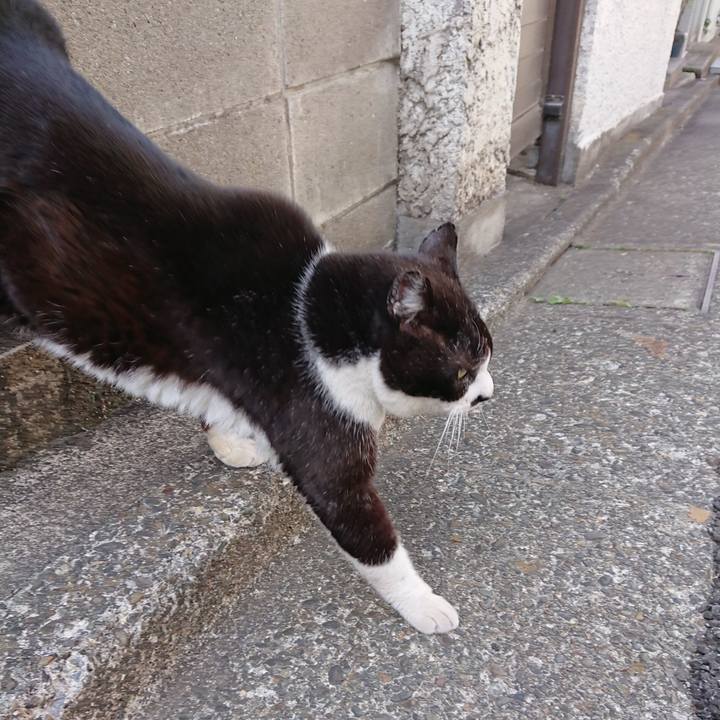 E527af17 d1e3 4387 ad3d 296a1491da86 1647839820298