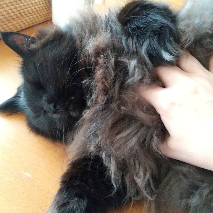 E527b54d ab19 4aab 8c74 2f04bb7ef05a 1638337806456