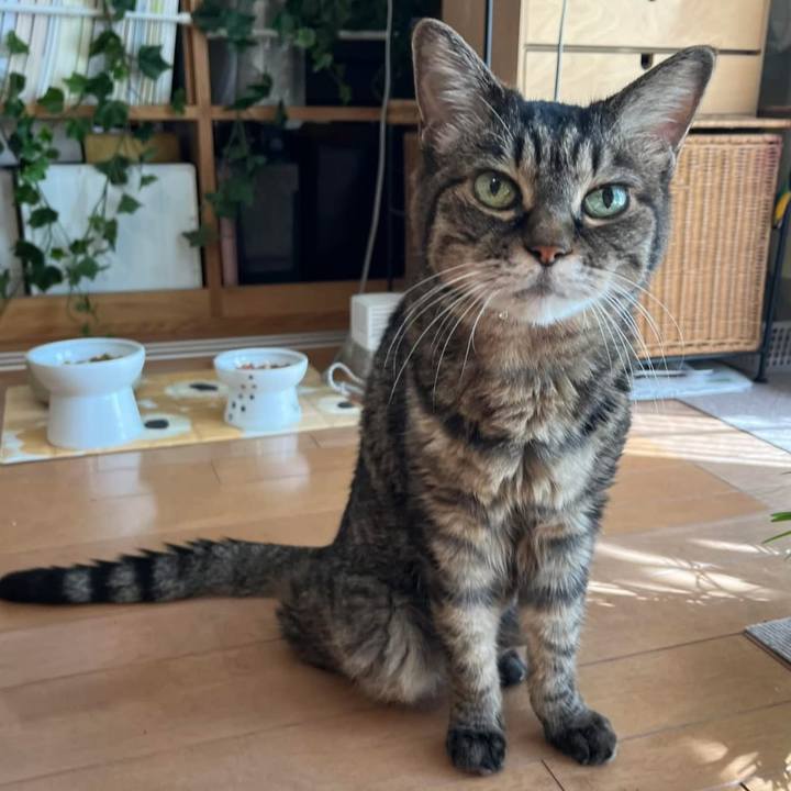 E527cdd4 898b 443a a074 a23ea508adfe 1762124234021