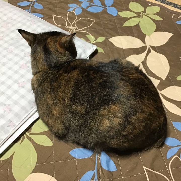 E527d77a 876c 4363 b523 e145d5e06988 1761039160270