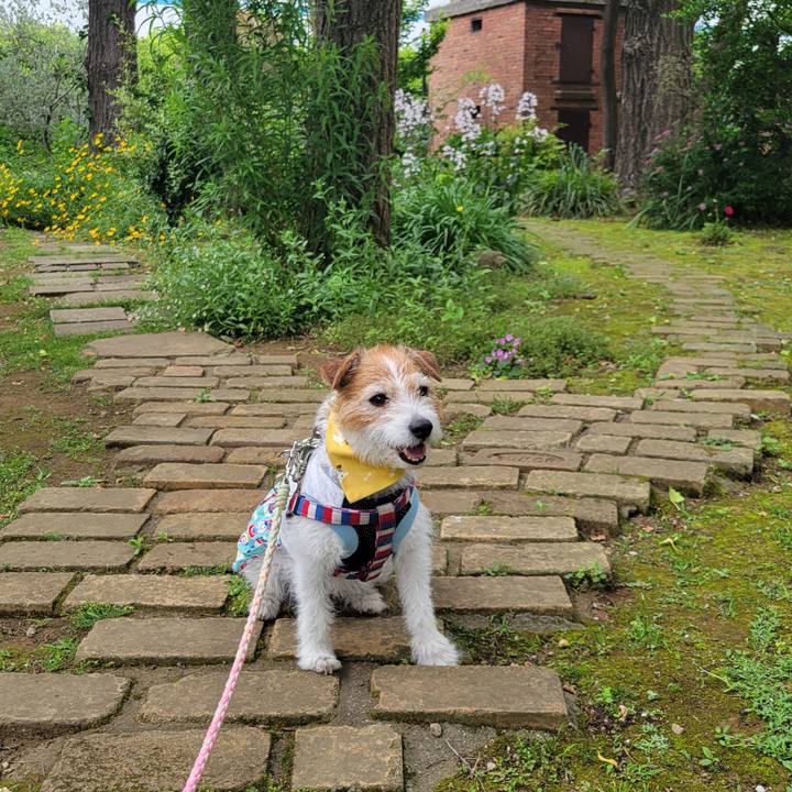 E528180f fab9 4665 bc69 ce6a70fc9af5 1748067625018