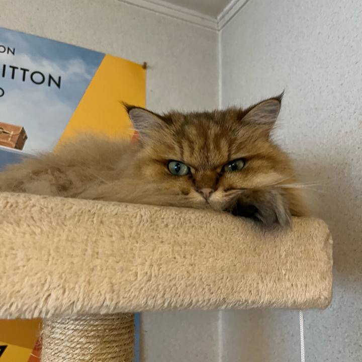 E5281cbc 7f7d 4e21 aa30 1a256e47db4b 1694430002649