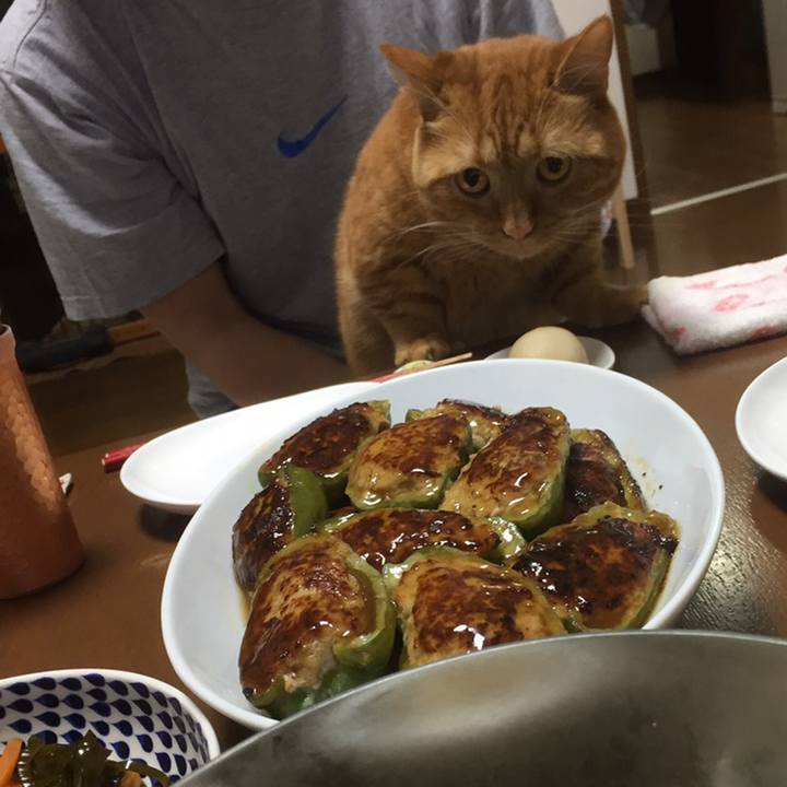 E528223d a387 4958 ba88 4d2958ba970e 1558441088536