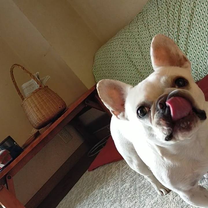 E5286eb2 2ddb 44d6 90fd be59f65ee97d 1658120826550