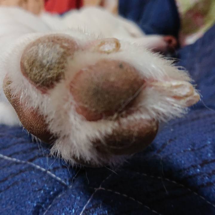 E5287c7d 1192 4b25 8829 67bd1e5c2d03 1586872497288