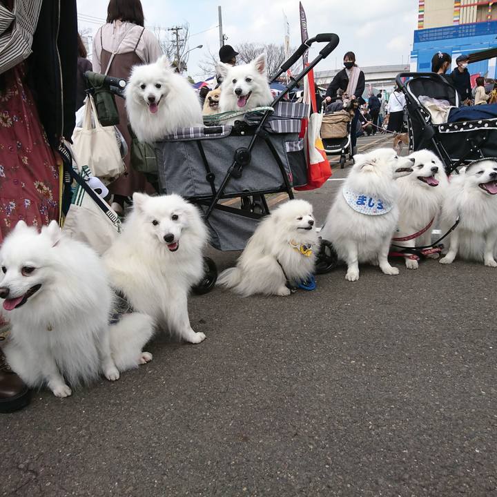 E5289eec d184 433b bb06 c9ee46c9d8e9 1616219983506