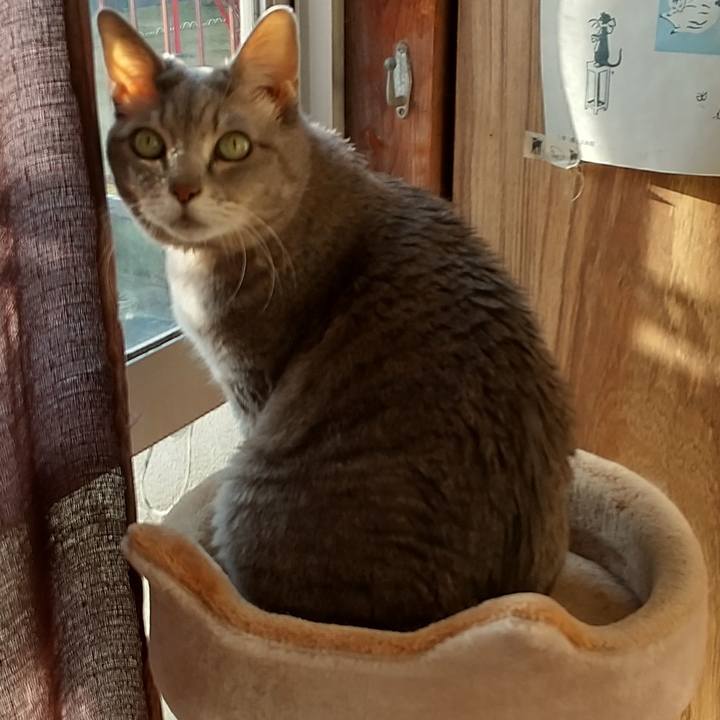 E5293aee 8a92 4e78 b4f6 ba7cbce5c29c 1606605784430