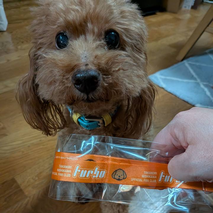 E5293d7a effe 4657 8712 61837f47bc5c 1772442871781