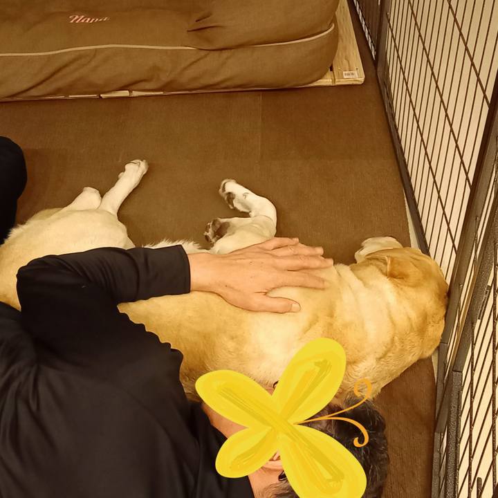 E5296815 88a8 419c 9000 2c87e0bb99c9 1608036878118