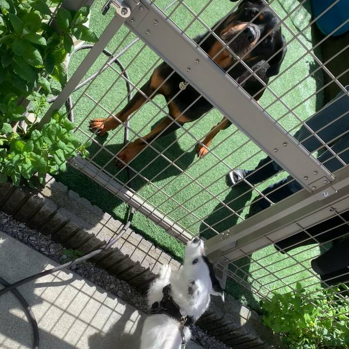 E529c9ac 6c68 4597 8244 0b1a98a30aed 1746237080200