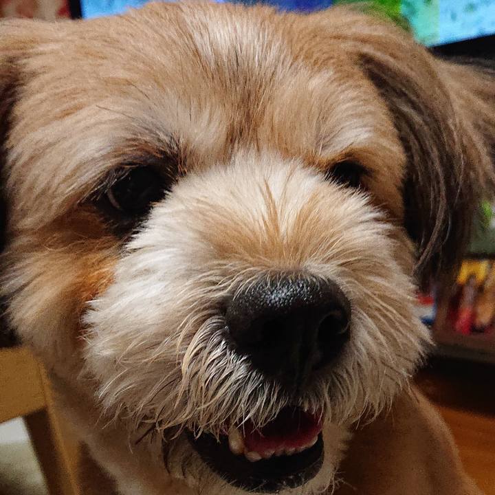 E52a26c4 bedd 49a1 bc80 036062938742 1590578344857