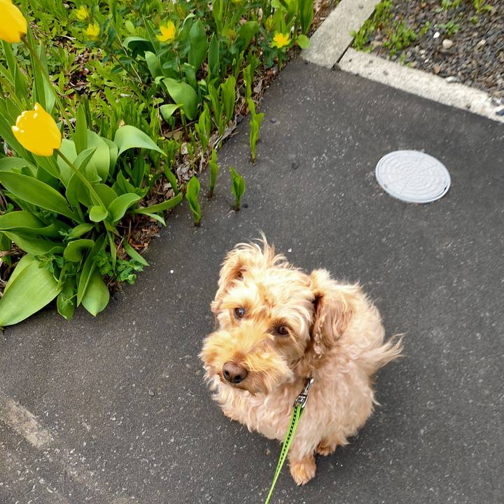 E52a2d7c b818 4603 a41a 01ff6bce2999 1589496246858