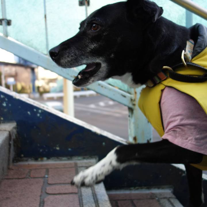 E52a450a 5f8b 4b3b a990 1b32e03852df 1740358530987