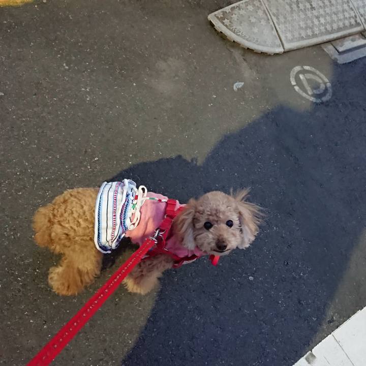 E52a4dda 8a60 4fce 8333 3facf4f3d42f 1553162009968