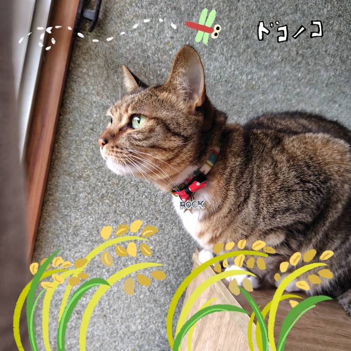 E52a8fc5 13f6 415e 8ed6 aae5a1b9bc75 1761357623940