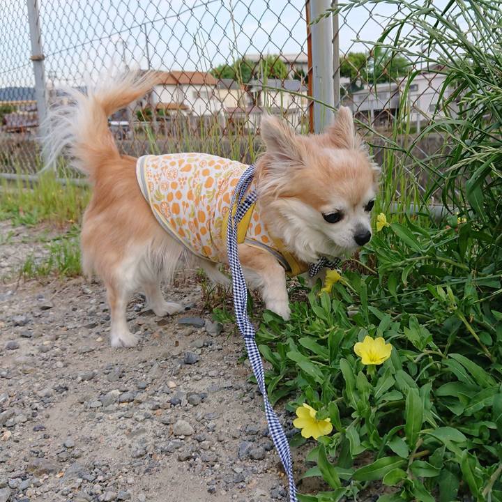 E52a9960 b0ac 41c3 bf88 5c1f5fd680b7 1557401871039