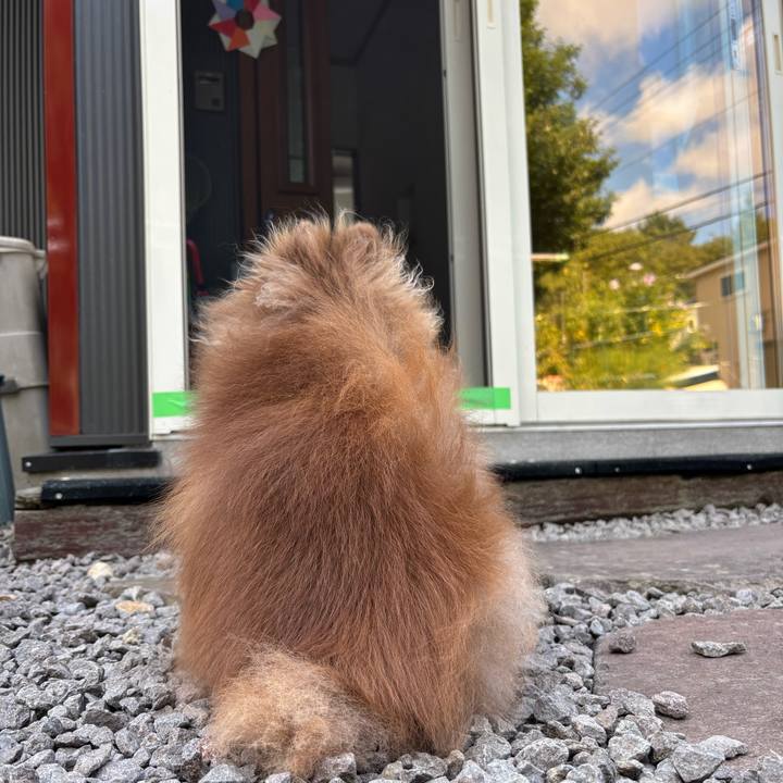 E52aa192 2180 4abb 85fa e67c04c82c75 1757814938091