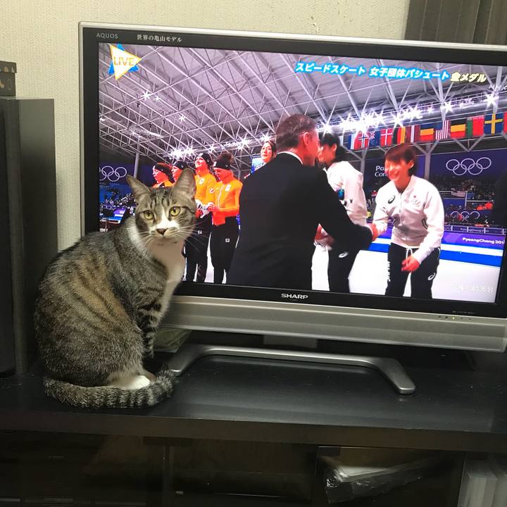 E52ab3a6 23c3 413b ae39 9e1d11e7e5e8 1519220305329