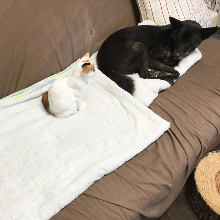 E52c0e34 06a4 497f 9cbd 05805a207508 1541993851890