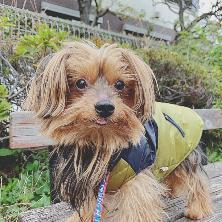 E52c19e4 619c 4a42 885b 25e3606b112b 1543283786038