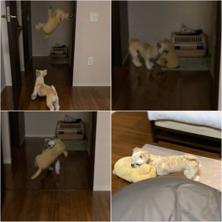 E52c5c42 2170 4b28 8ba9 ce8f83cd8497 1571142038689