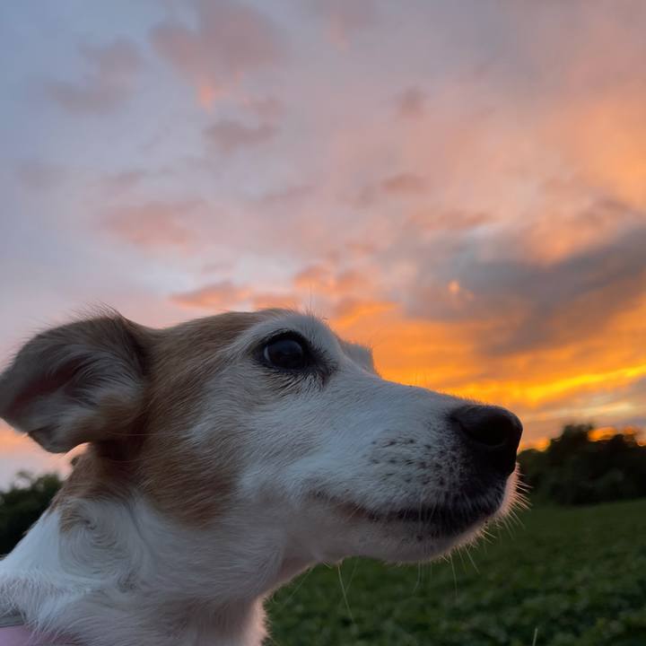 E52c6efb 4029 41d0 bbe1 1ec74149a12b 1628637177104